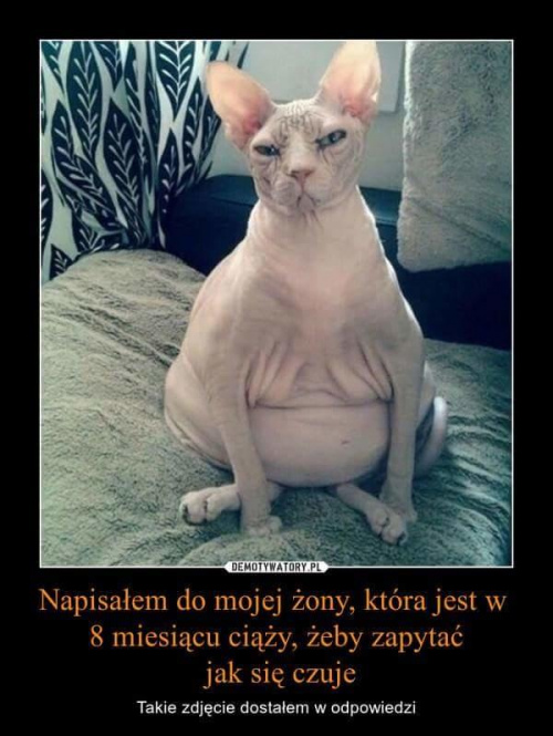 b0de55063b9dfb24med.jpg