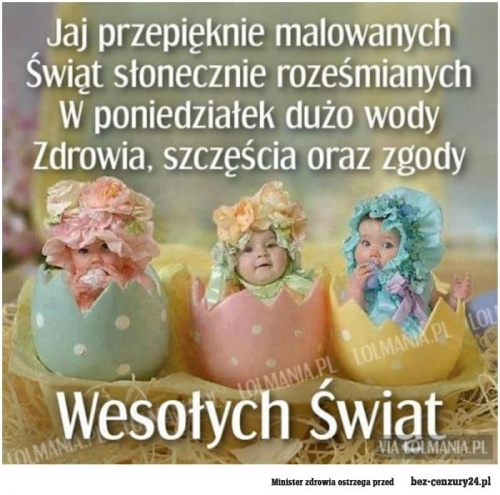 08cf8853fb5fc276med.jpg