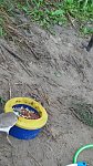 images76.fotosik.pl/820/e561372e556445bcm.jpg