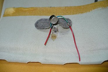 #Ford #Focus #St170 #siedzenie #fotel #Recaro