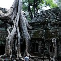 Ankor Wat Kambodża