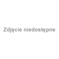 Myszołów w Parku Skaryszewskim