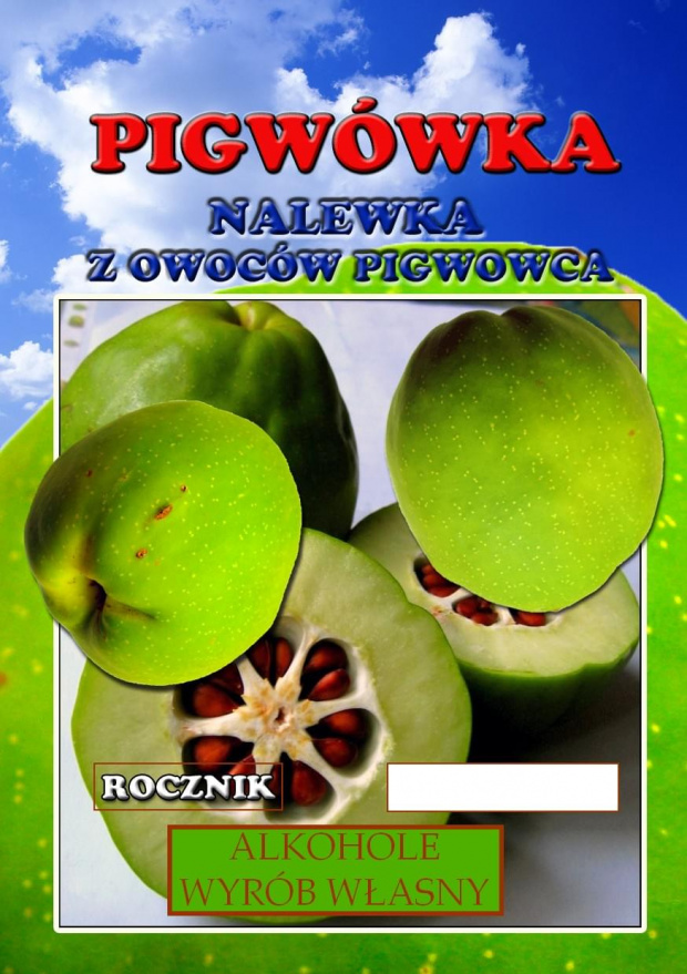 pigwówka.republika.pl