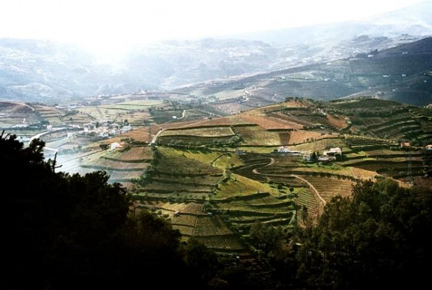 Douro Valley