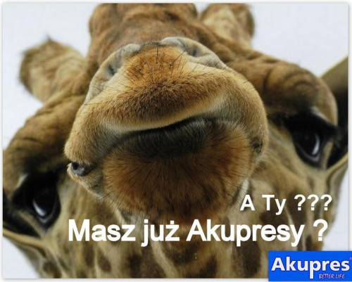 Akupres - masz już ? :) #footmassage #masażstóp #masazstop